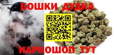 шишки Камышлов