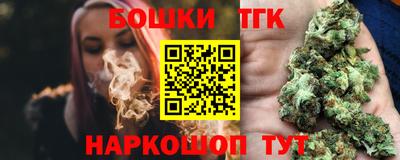 шишки Камышлов