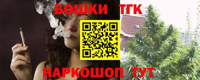 шишки Камышлов