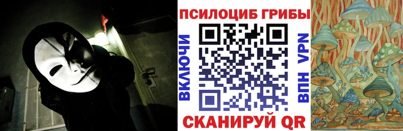 ссылка на мегу ТОР  как найти закладки  Химки  Галлюциногенные грибы прущие грибы 