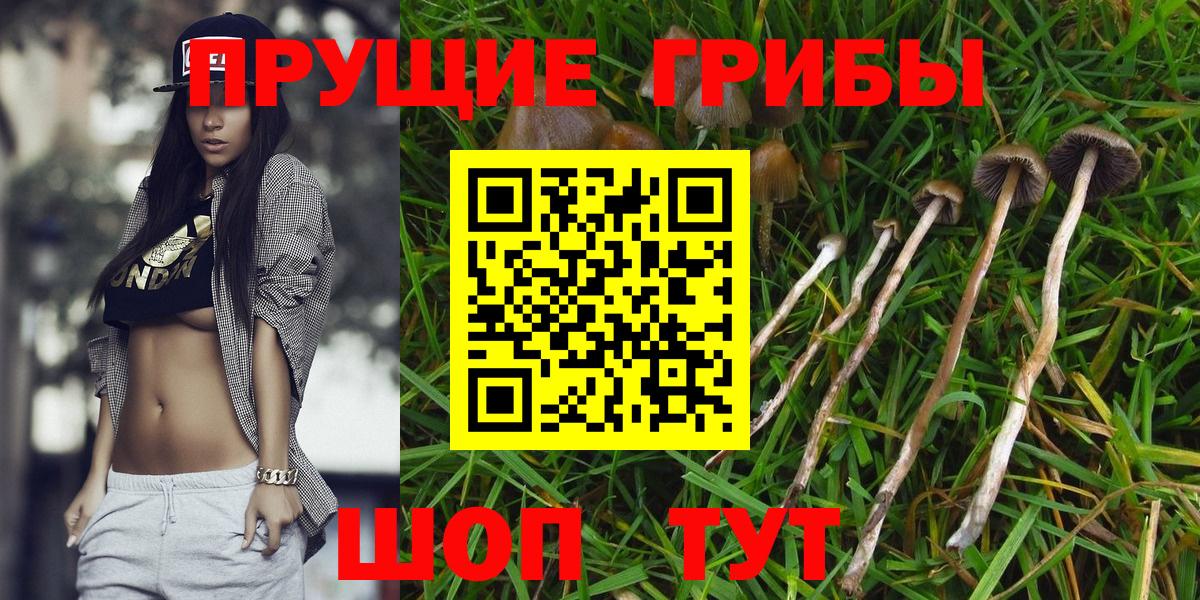 ГАШ  МАРИХУАНА  АМФЕТАМИН кристаллы  КОКАИН  Химки  МЕФ   Вход с VPN 