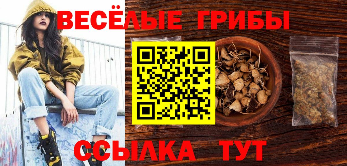 Химки  Псилоцибиновые грибы мухоморы  Вход с VPN 